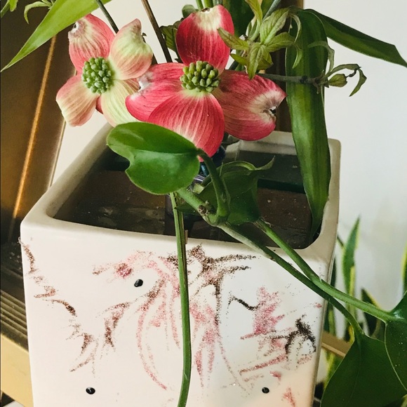 Plant & Cuttings Propagation Station - Watch plants growing their root systems! - Picture 5 of 7